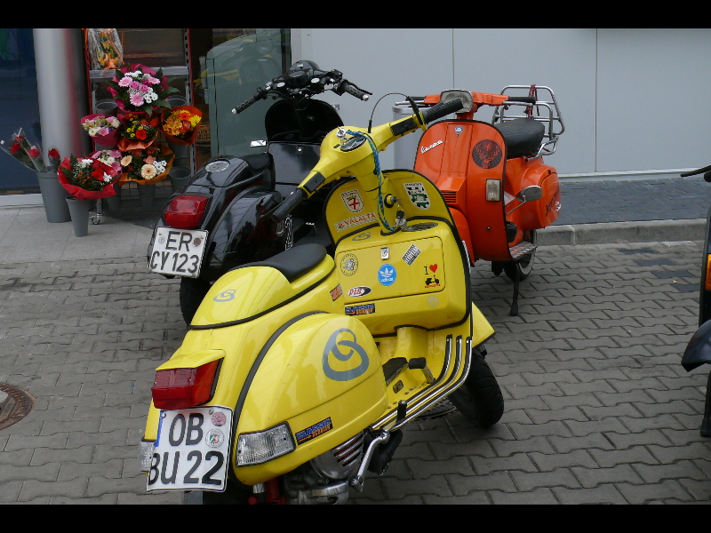 P1090656-k.jpg (image/jpeg)