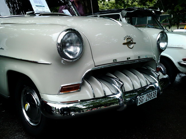 wangen_2010_72.jpg (image/jpeg)